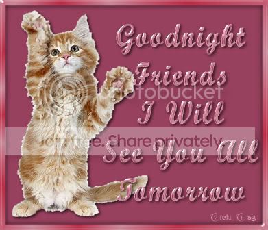 GoodnightKitty-vi.jpg