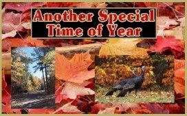 FallSpecial272x170.jpg