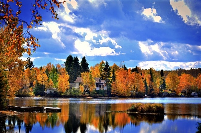 autumn-landscape-1138875_1920-650x430.jpg