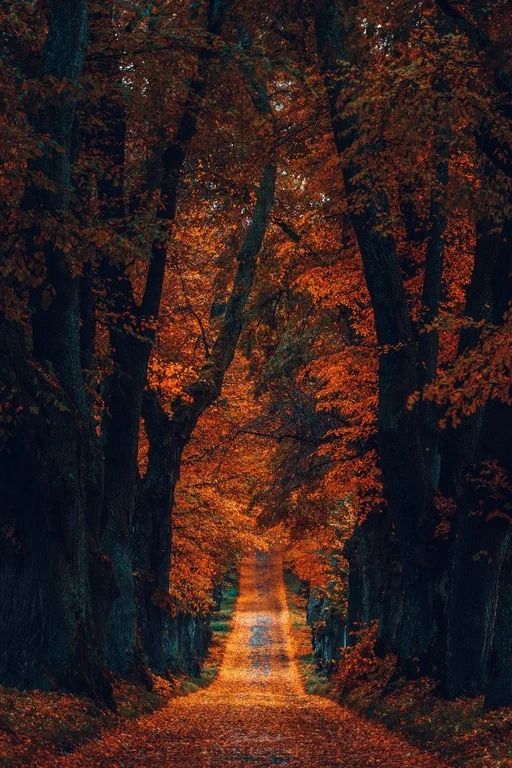 e43a9e8db6efb73ec31a8f537785d0a3.jpg