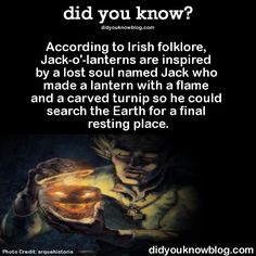 c215d0c9ad136487e05fc854bed7eb60--wtf-fun-facts-crazy-facts.jpg