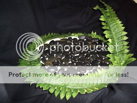 newvegtray.jpg