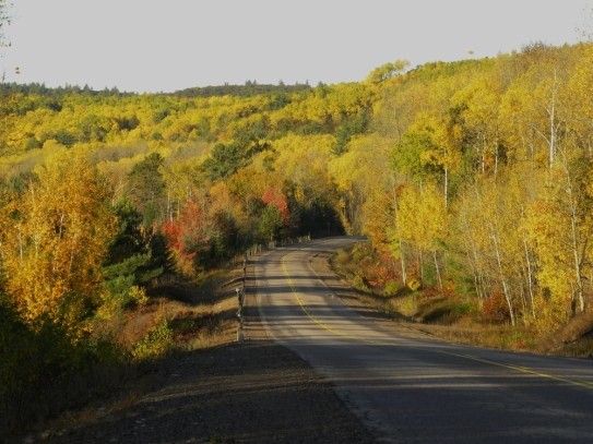 GoldenHwy.jpg