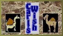 CarlCamelWish204x117.jpg