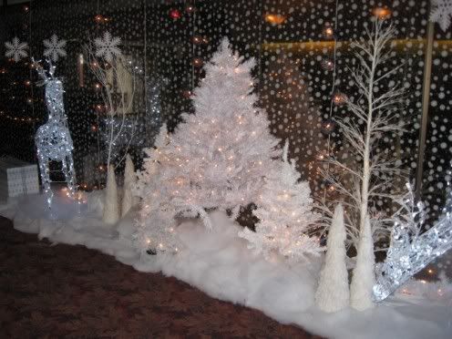 Snowy060.jpg
