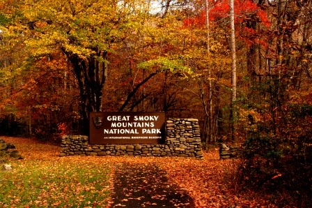 Smokies+Fall+2.jpg
