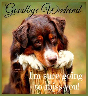 192759-Goodbye-Weekend-I-Am-Going-To-Miss-You.jpg