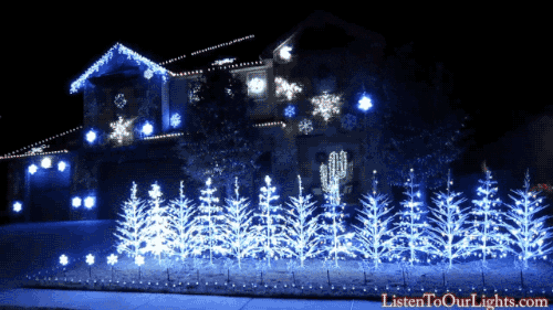 giphy.gif
