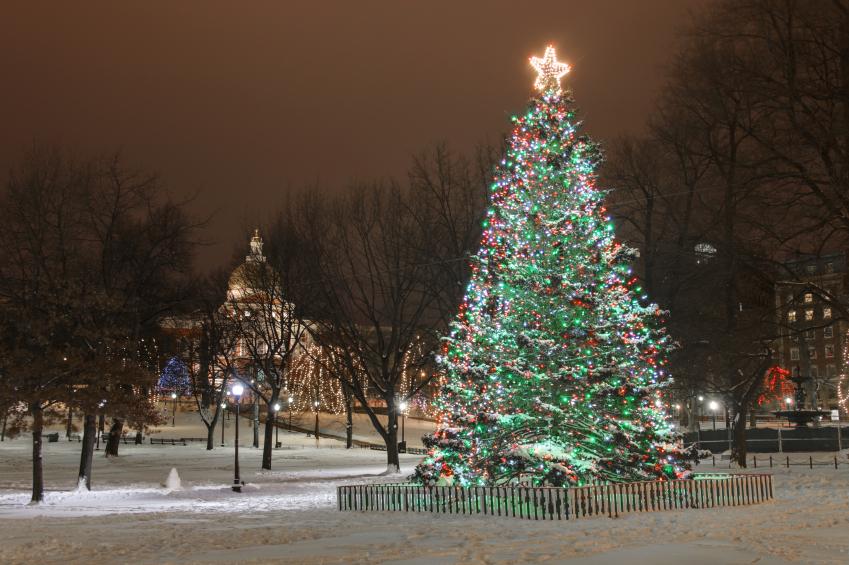 160658-849x565r1-christmas-tree-boston-common.jpg