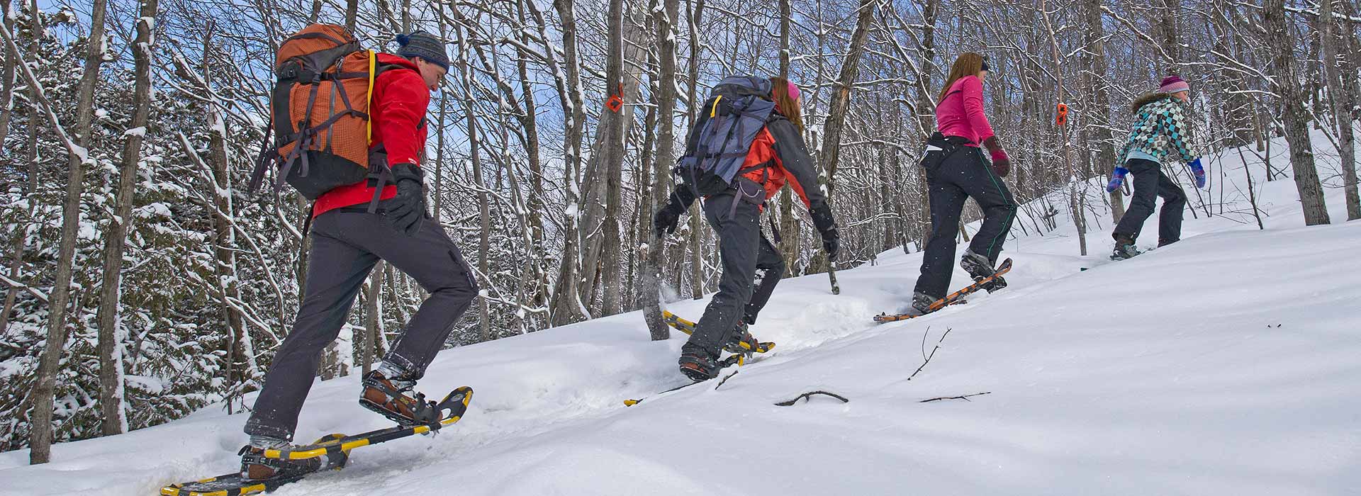 snowshoeing-header.jpg