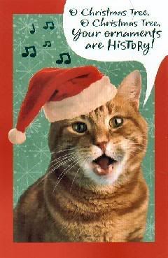 OrnieHistoryCat.jpg