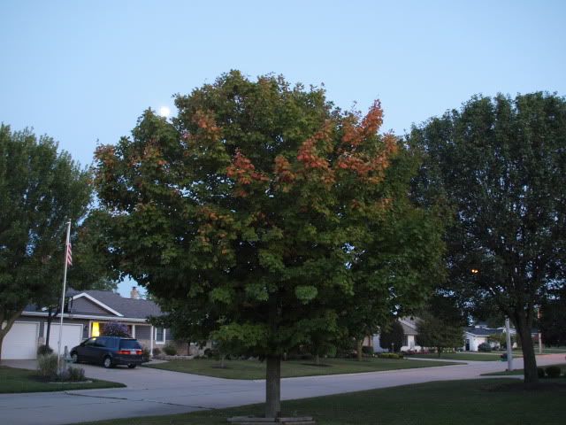 P8283774.jpg