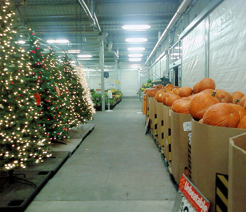 christmas-in-october.jpg