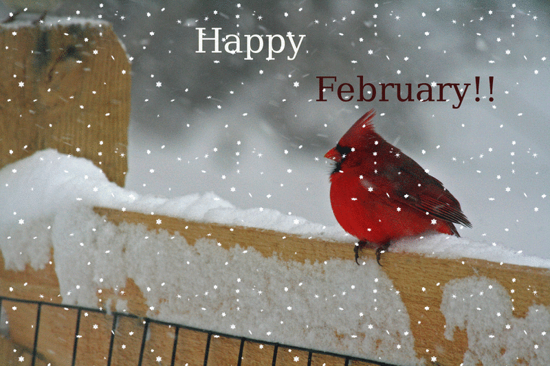 155335-Happy-February.gif