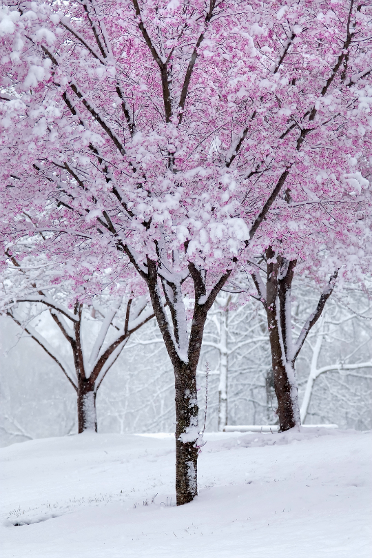 c471a6e53a62bce67bb149e5a5ae5f2b.png