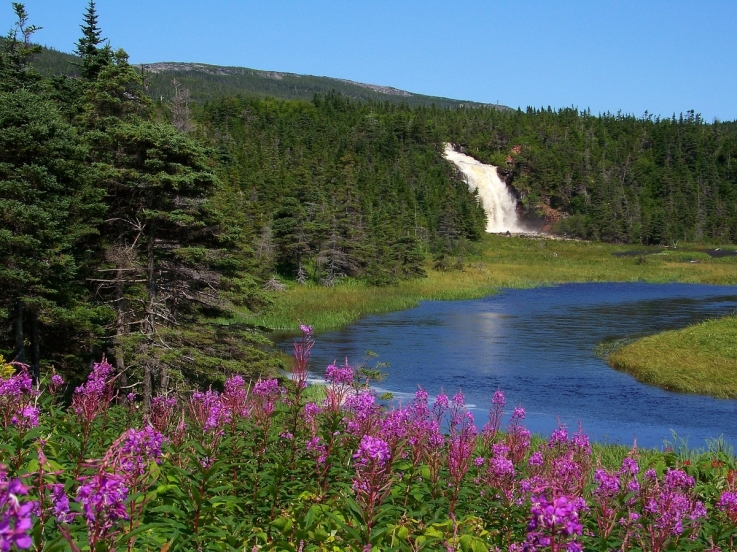 sheavescovehiddenfalls1_aiden-mahoney.jpg