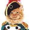 CatCostume.jpg