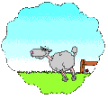SheepSleep.gif
