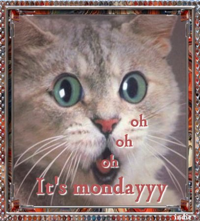graphics-monday-508012.jpg