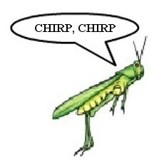 cricket+chirping.jpg