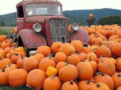 34039-Vintage-Truck-In-The-Pumpkin-Patch.jpg