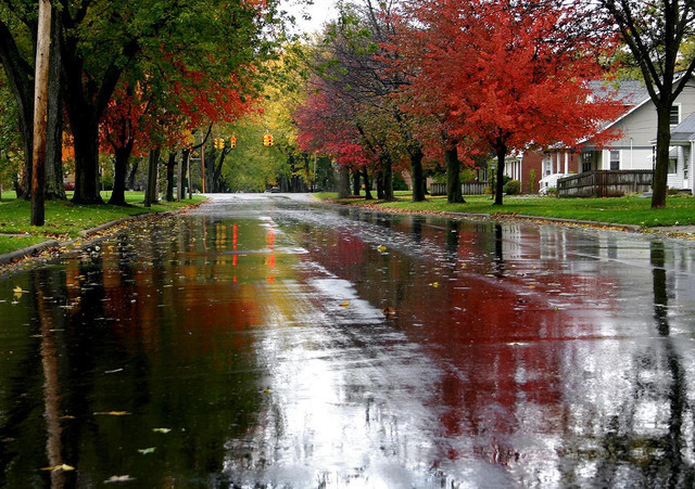 Autumn-Rain-autumn-19018740-640-451.jpg