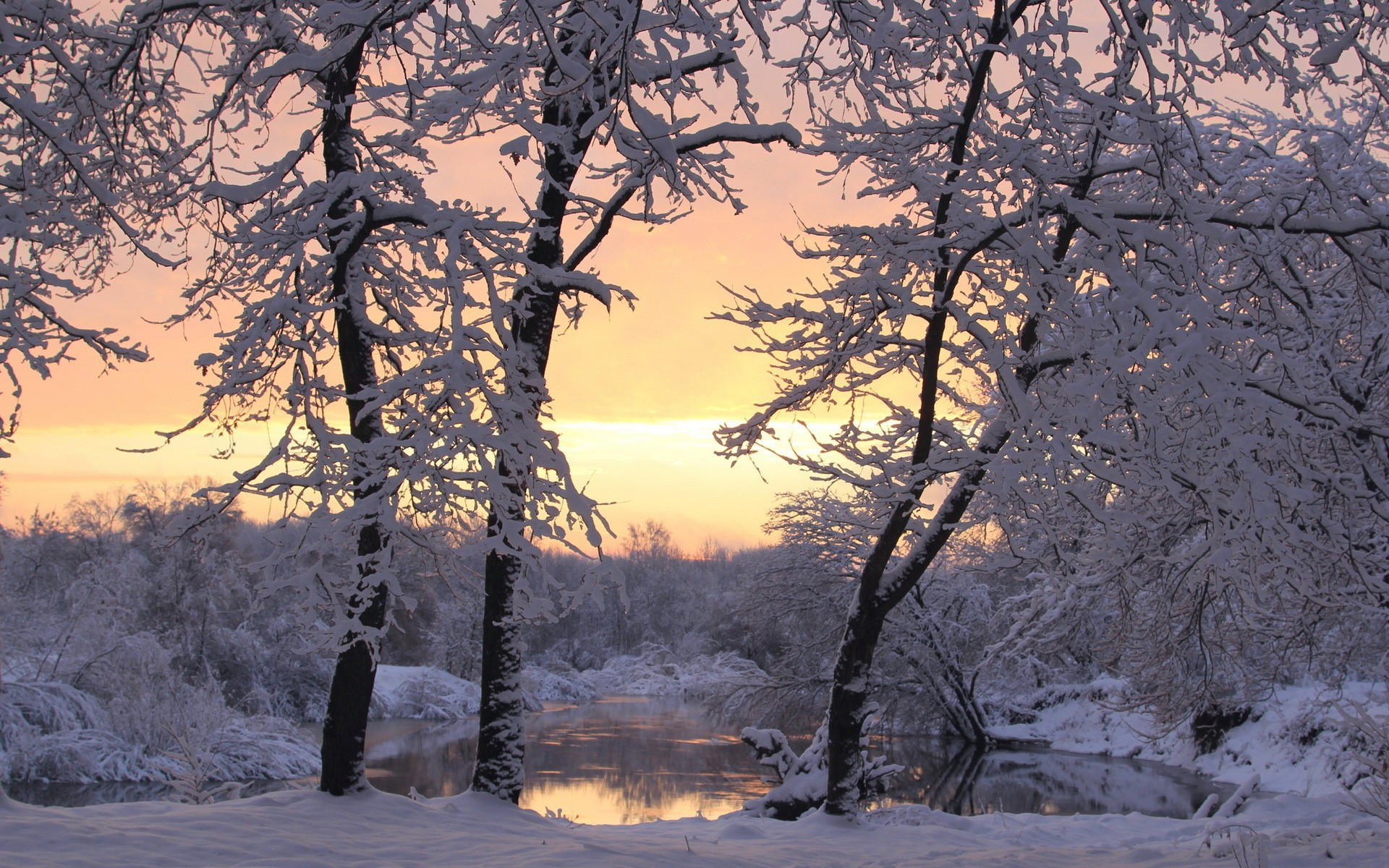 Winter_Snow-covered_trees_at_the_lake_046387_.jpg
