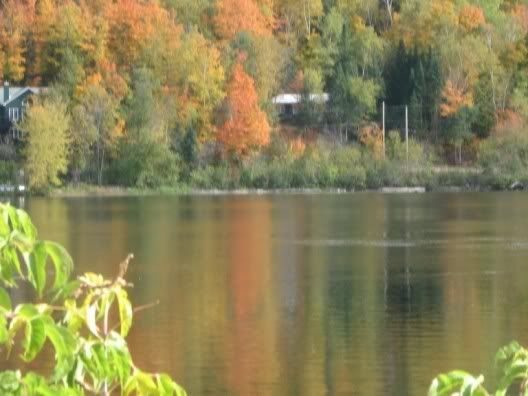 SeasonalPics022.jpg