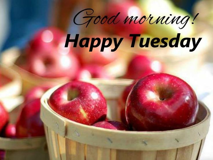 207475-Good-Morning-Happy-Tuesday-With-Autumn-Apples.jpg