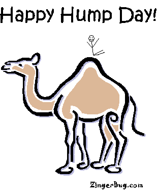 happy_hump_day_camel.gif