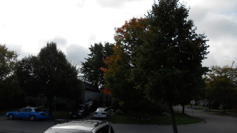 DSCN1157.jpg