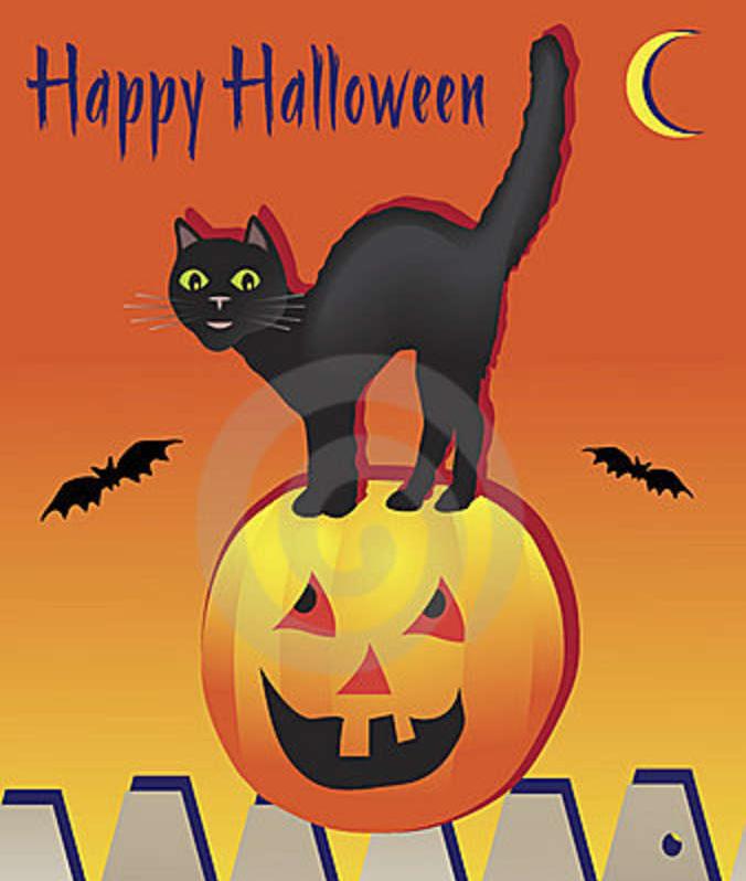 Halloweem_Cat_on_Pumpkin_on_Fence.jpg