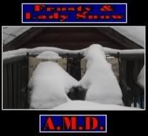 FrostyLady208x192.jpg