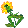 FlowerWink.gif