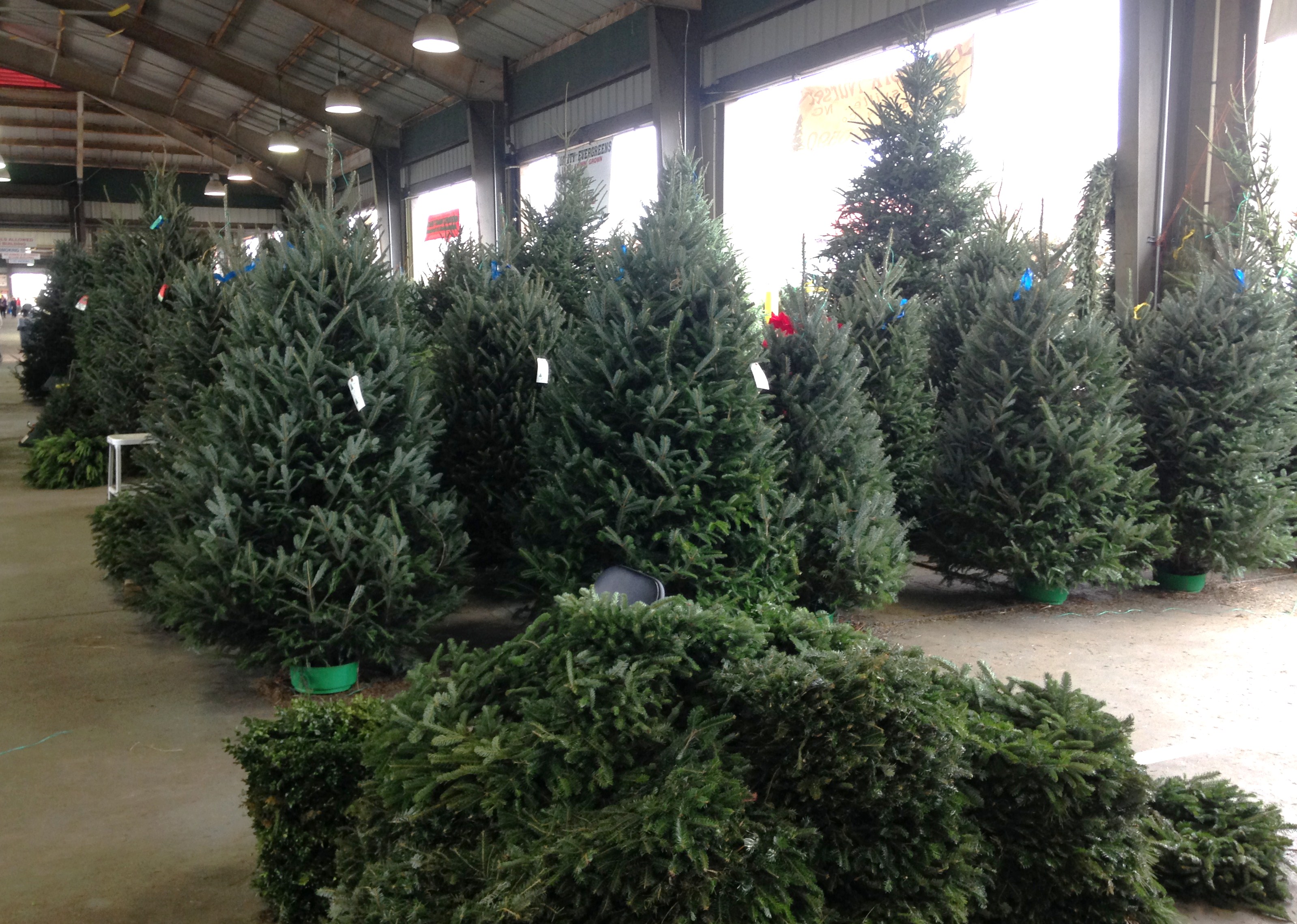 Farmer_s_Market_2_12_6_17.jpg