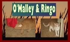 OmalleyRingo232x139.jpg