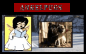 Angelpugs172x108-1.gif