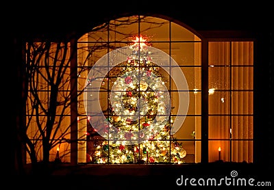 welcome-home-christmas-tree-in-window-thumb3849728.jpg