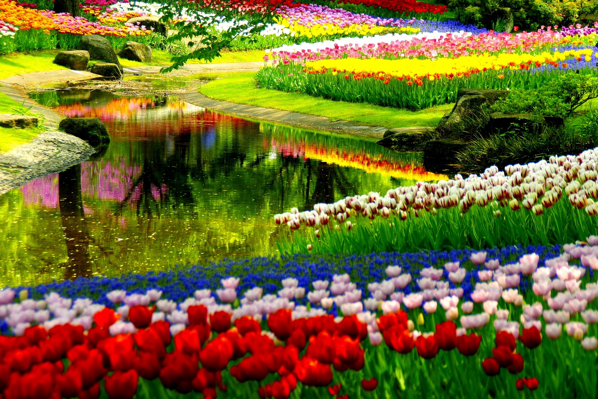 spring-park-desktop-pictures.jpg