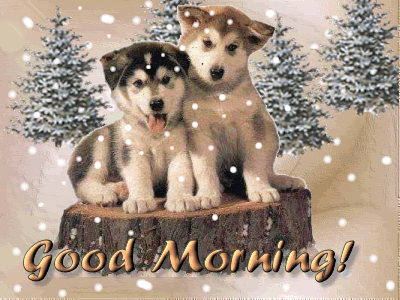 HuskyMorning.gif
