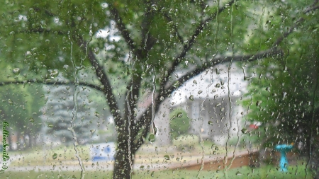 2403128-bigthumbnail.jpg