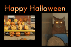 HalloweenMalley289x194-1.gif