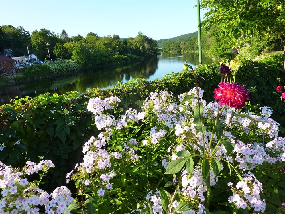 Bridge-of-Flowers2.jpg