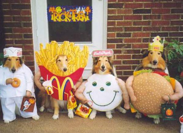 141080d1349992941-funny-halloween-picture-12.jpg